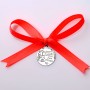 Pandant Ag 925 pentru Mot "1 anisor"