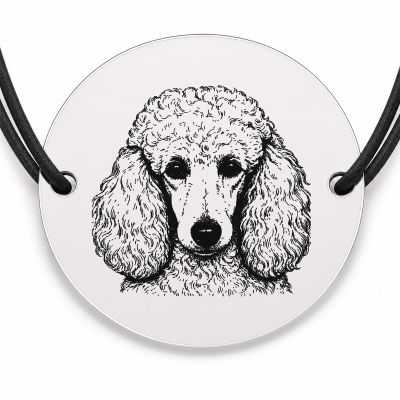 Brățară argint 925 cu bănuț gravat portret de Caniche, șnur negru reglabil — R0388