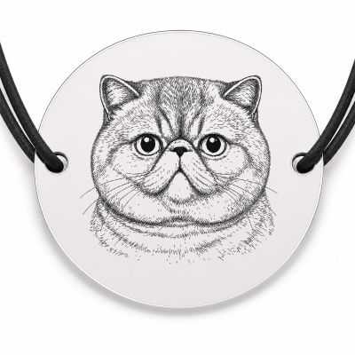 Brățară argint 925 cu bănuț gravat portret de pisică Exotic Shorthair, șnur negru reglabil — R0413