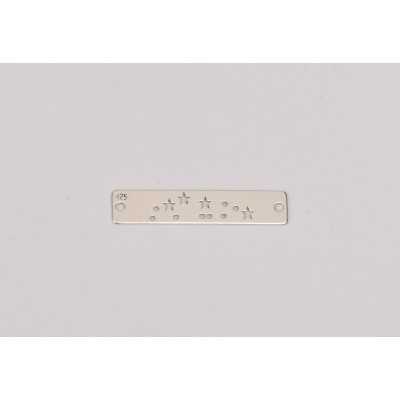 F0031-N-Link Constelatie Zodia Capricorn 25x5mm 0.5 - 1 buc